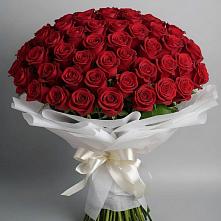 Букет 101 Красная роза Блэк Мэджик в Черняховске