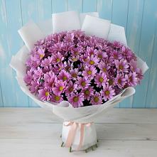 Букет цветов из:  Хризантемы в Черняховске