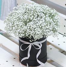 Цветочная композиция из Гипсофила в шляпной коробке #REPLACE_PRED# Черняховске
