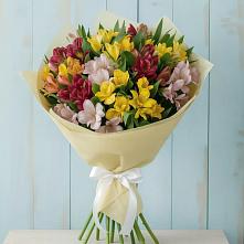 Букет цветов из:  Альстромерии #REPLACE_PRED# Черняховске
