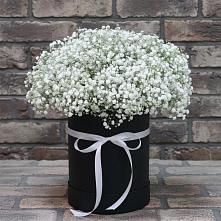 Цветочная композиция из Гипсофила в шляпной коробке #REPLACE_PRED# Черняховске