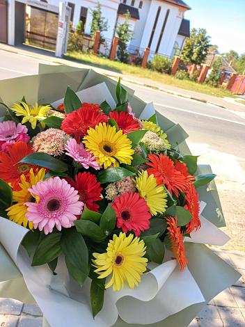 Букет цветов из: Герберы в Черняховске