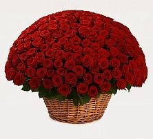 Премиум букет из: Розы #REPLACE_PRED# Черняховске